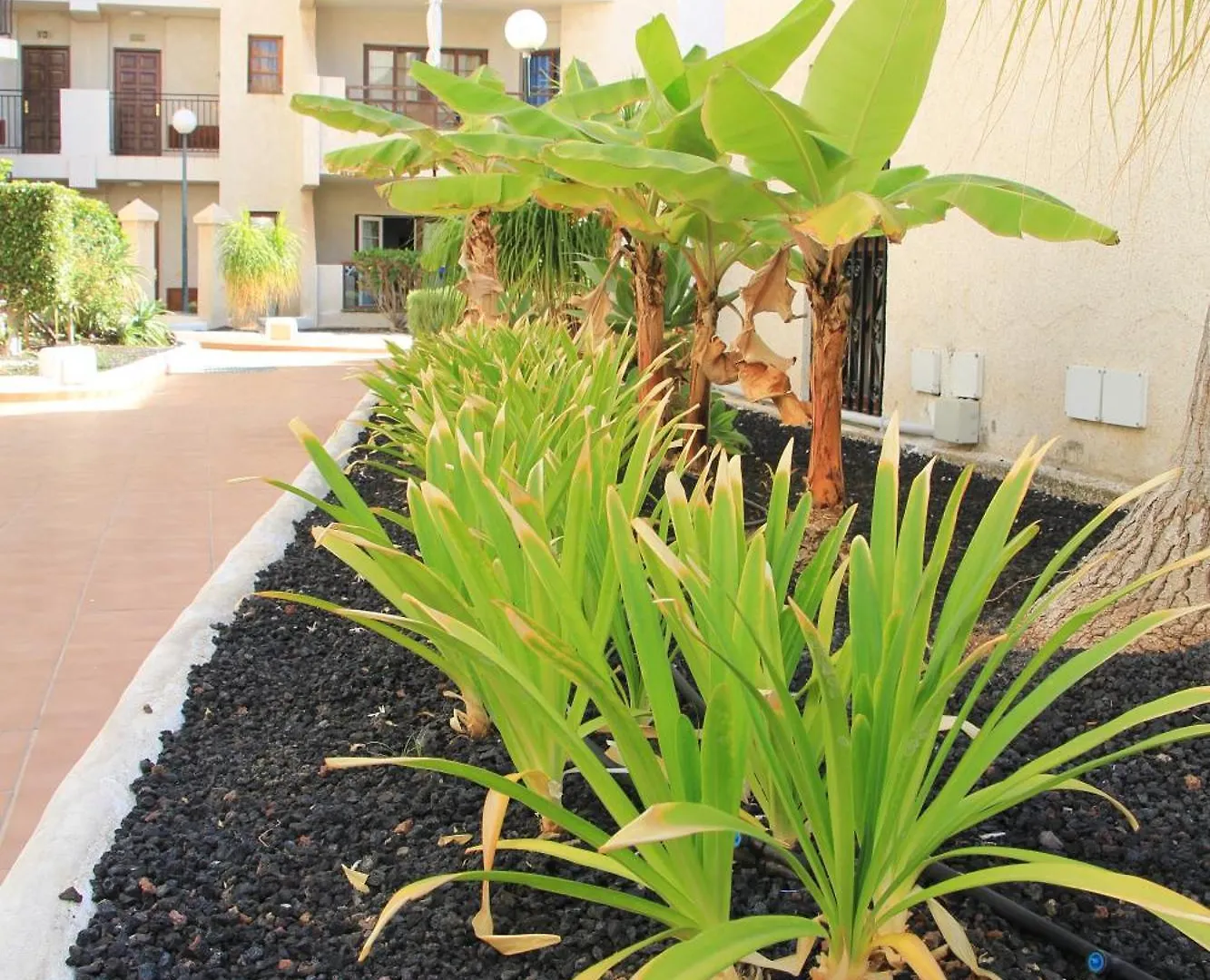 Las Americas - 2 Bedrooms - Flayla-A Arona  Spain
