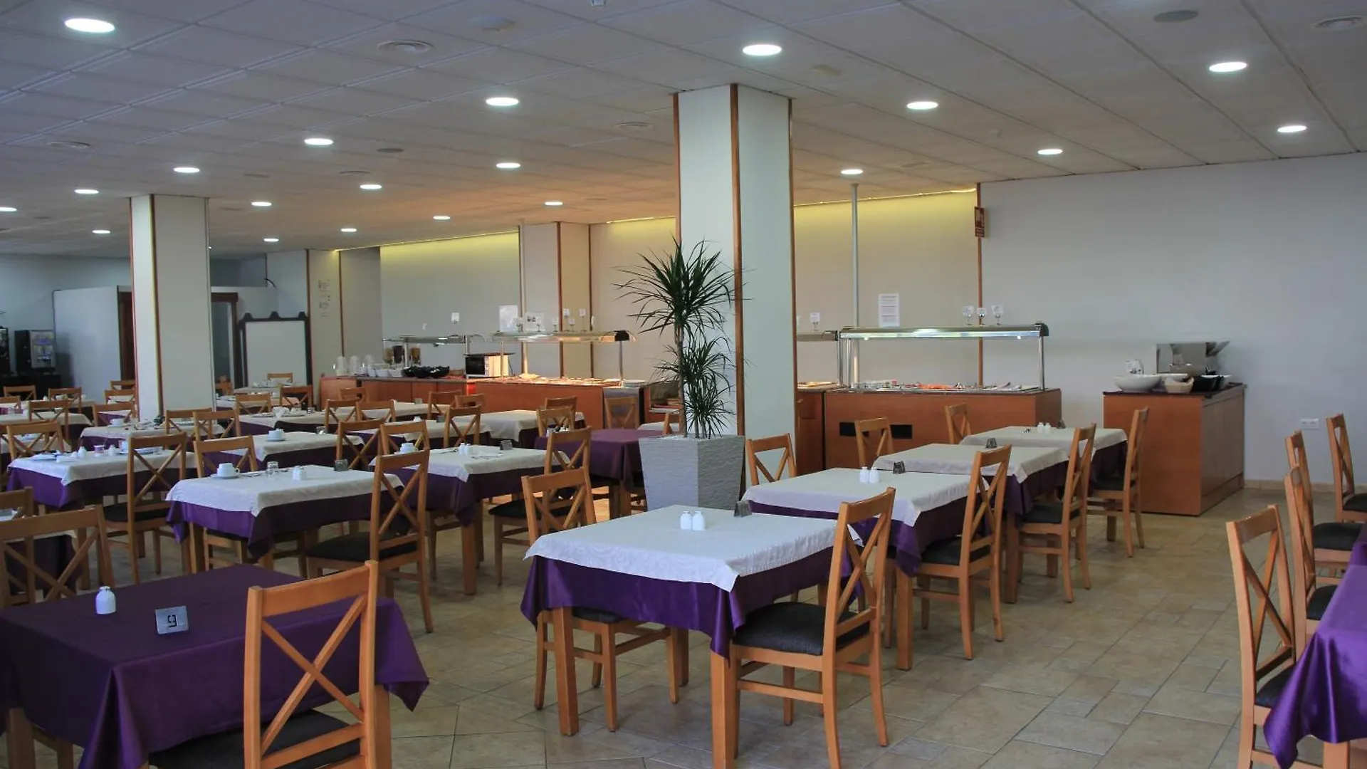 Las Americas - 2 Bedrooms - Flayla-A Arona  Apartment