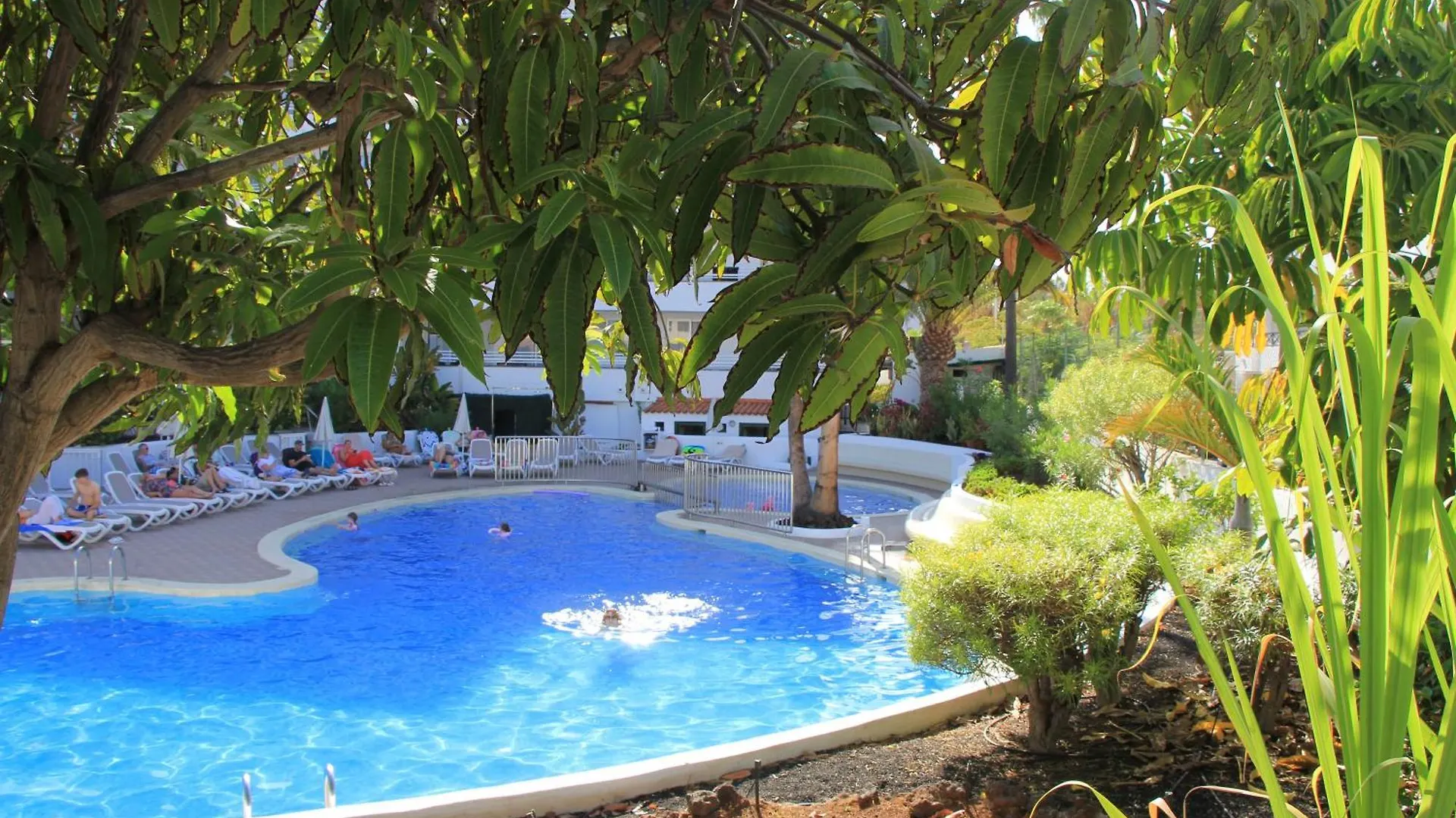 Las Americas - 2 Bedrooms - Flayla-A Arona  0*, Arona (Tenerife)